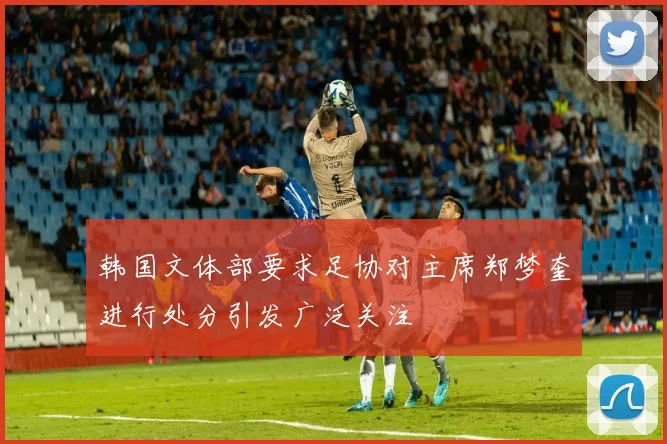 韩国文体部要求足协对主席郑梦奎进行处分引发广泛关注