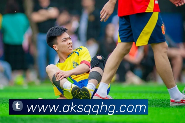 九游体育app官网首页全站App